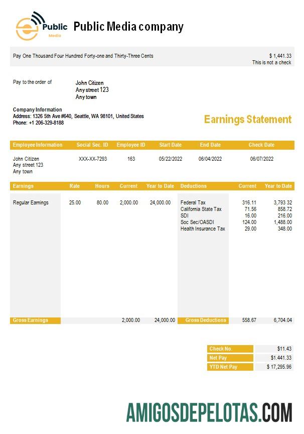 Declaração de ganhos de empresa de mídia pública em formatos Word e PDF baixar para verificação